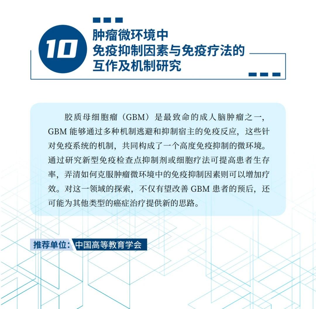 1720004568029.jpg 10.jpg